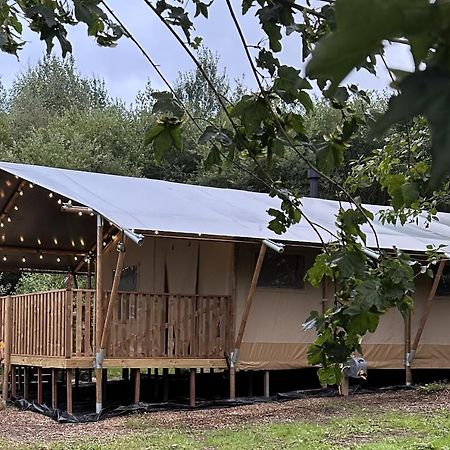 Cherry Tree Safari Lodge Talaton ภายนอก รูปภาพ